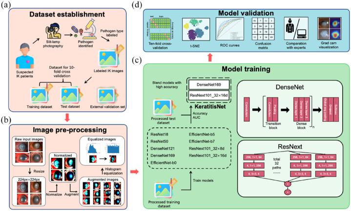 https://cdn.ncbi.nlm.nih.gov/pmc/blobs/4962/9666706/a5364b8d967f/10.1177_20406223221136071-fig1.jpg