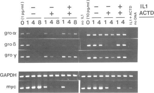 https://cdn.ncbi.nlm.nih.gov/pmc/blobs/4963/333731/042191196b72/nar00240-0216-c.jpg