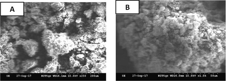 https://cdn.ncbi.nlm.nih.gov/pmc/blobs/4966/10463261/58c072c58f48/gr5.jpg