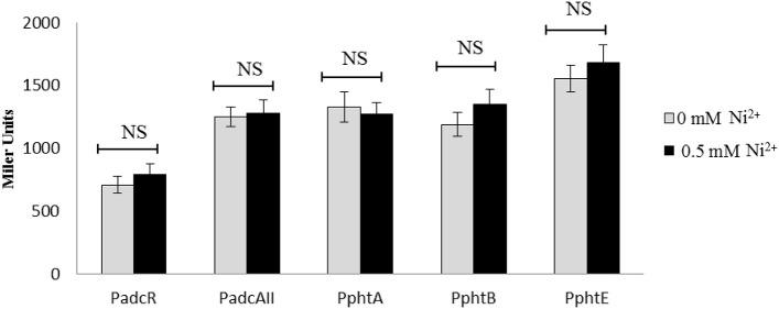 https://cdn.ncbi.nlm.nih.gov/pmc/blobs/4968/4672087/0f754bbf52c8/fcimb-05-00091-g0004.jpg