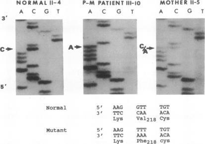https://cdn.ncbi.nlm.nih.gov/pmc/blobs/4969/52341/6c7fa9c904fc/pnas01067-0115-a.jpg