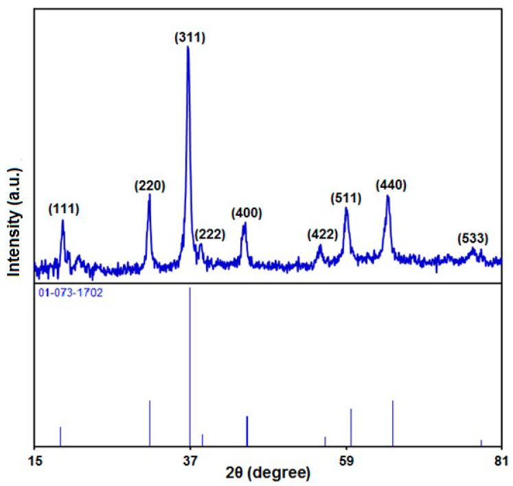 https://cdn.ncbi.nlm.nih.gov/pmc/blobs/4969/9688067/2bdf82614fd7/biosensors-12-00912-g003.jpg
