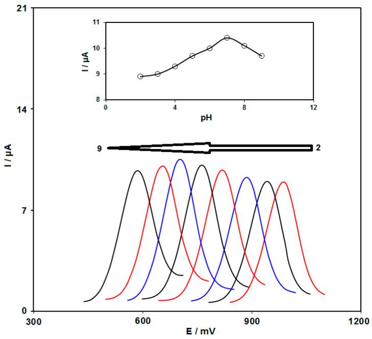 https://cdn.ncbi.nlm.nih.gov/pmc/blobs/4969/9688067/47c3dbba111f/biosensors-12-00912-g006.jpg