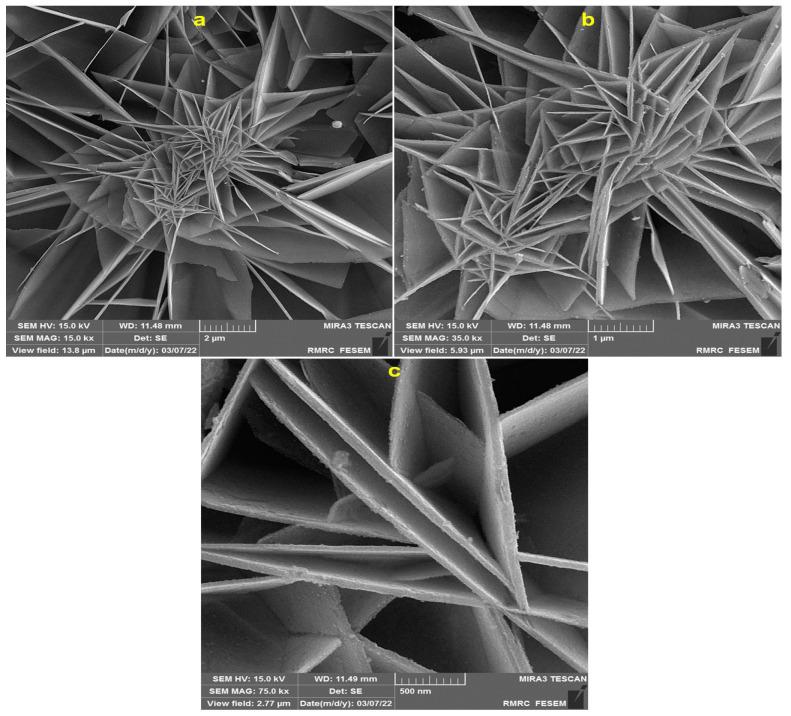 https://cdn.ncbi.nlm.nih.gov/pmc/blobs/4969/9688067/bb55d035d4ac/biosensors-12-00912-g001.jpg