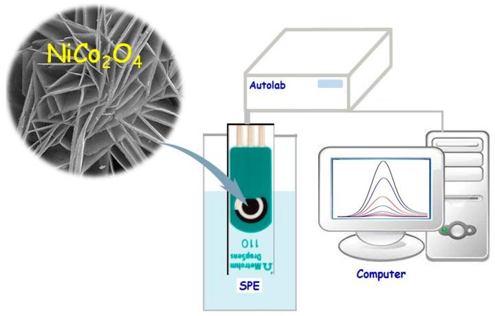 https://cdn.ncbi.nlm.nih.gov/pmc/blobs/4969/9688067/c54de4f06e8c/biosensors-12-00912-sch001.jpg