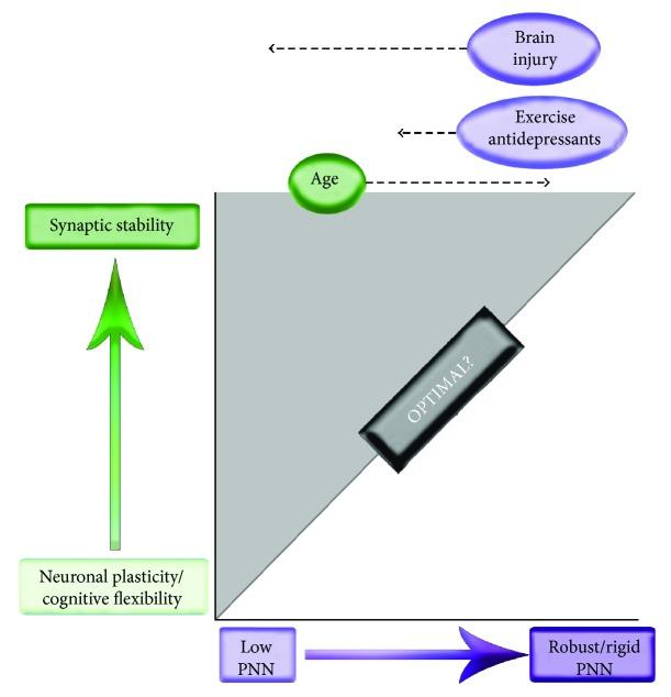 https://cdn.ncbi.nlm.nih.gov/pmc/blobs/496a/5817213/e2c3d05c4ee2/NP2018-5735789.002.jpg