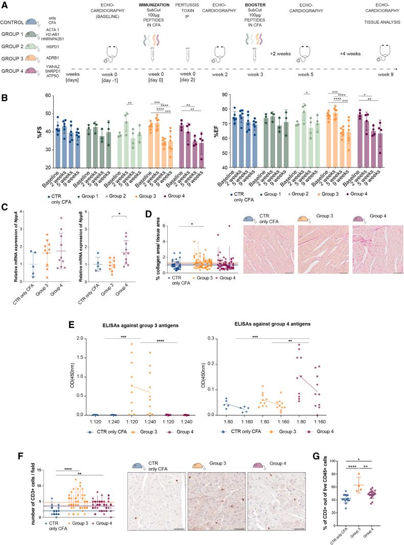 https://cdn.ncbi.nlm.nih.gov/pmc/blobs/496c/11692788/6e8c9ee0fd76/res-136-04-g003.jpg