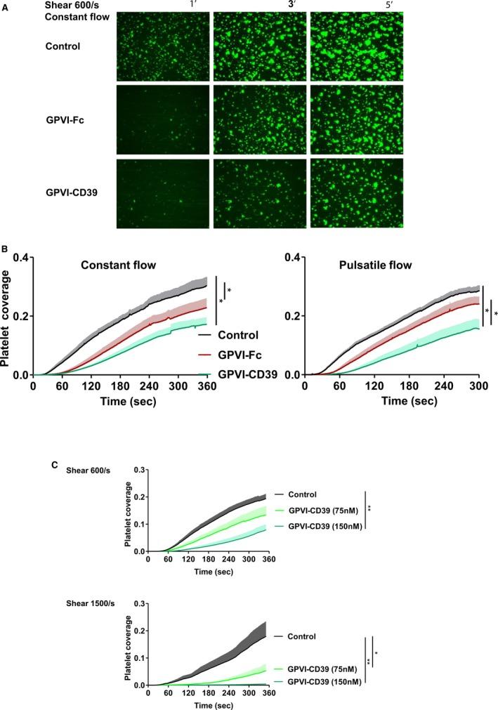 https://cdn.ncbi.nlm.nih.gov/pmc/blobs/496c/5586441/c2eddf17a337/JAH3-6-e005991-g004.jpg