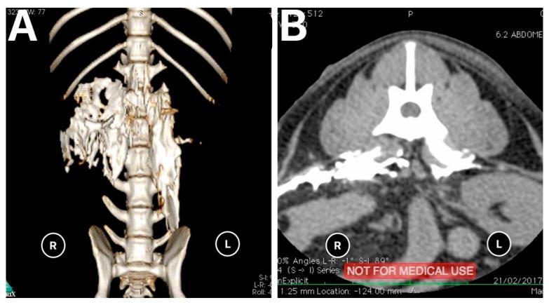https://cdn.ncbi.nlm.nih.gov/pmc/blobs/496d/8532639/dad37060abd4/animals-11-02945-g005.jpg