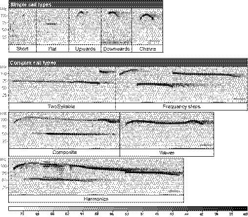 https://cdn.ncbi.nlm.nih.gov/pmc/blobs/496e/8204861/895e9dc4afff/EMBJ-40-e107471-g003.jpg