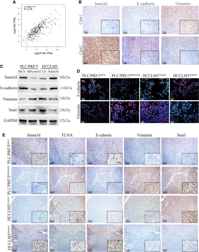 https://cdn.ncbi.nlm.nih.gov/pmc/blobs/496f/9358705/390b5588b69d/fonc-12-913498-g006.jpg