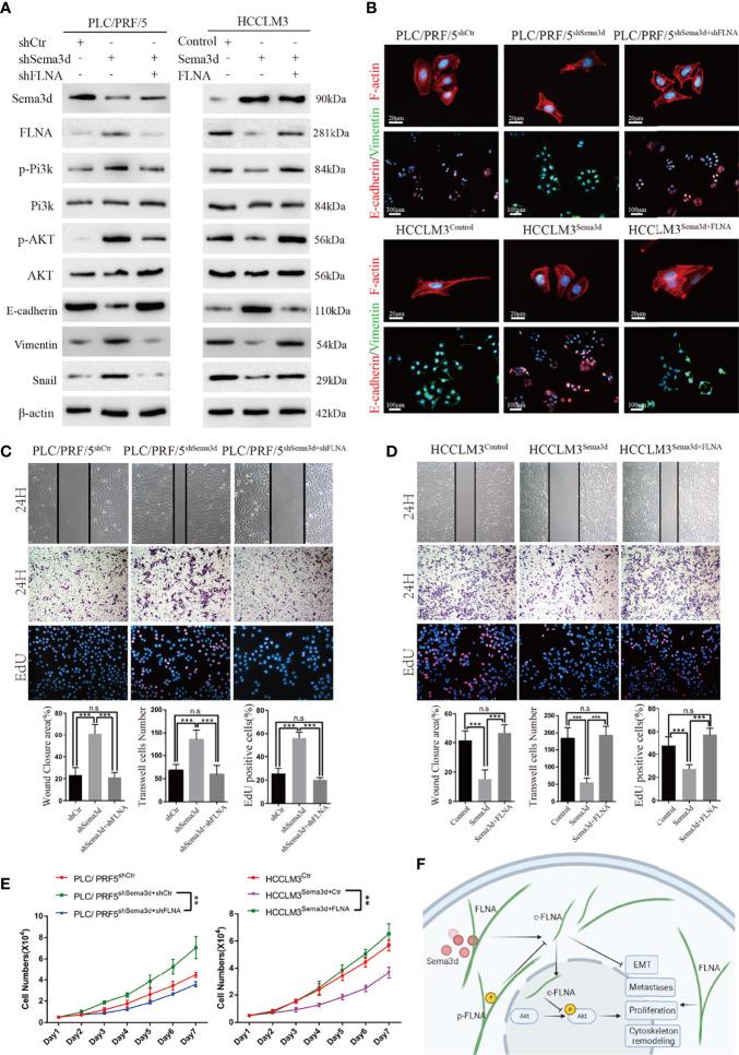 https://cdn.ncbi.nlm.nih.gov/pmc/blobs/496f/9358705/61044c0b28ac/fonc-12-913498-g007.jpg