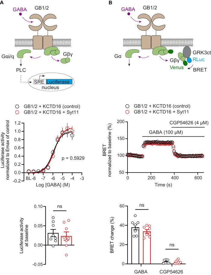 https://cdn.ncbi.nlm.nih.gov/pmc/blobs/4970/11169412/401be8ab5498/44319_2024_147_Fig2_HTML.jpg