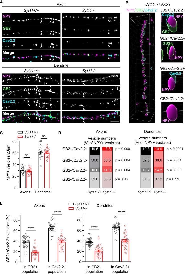 https://cdn.ncbi.nlm.nih.gov/pmc/blobs/4970/11169412/d80bb863fcb6/44319_2024_147_Fig4_HTML.jpg