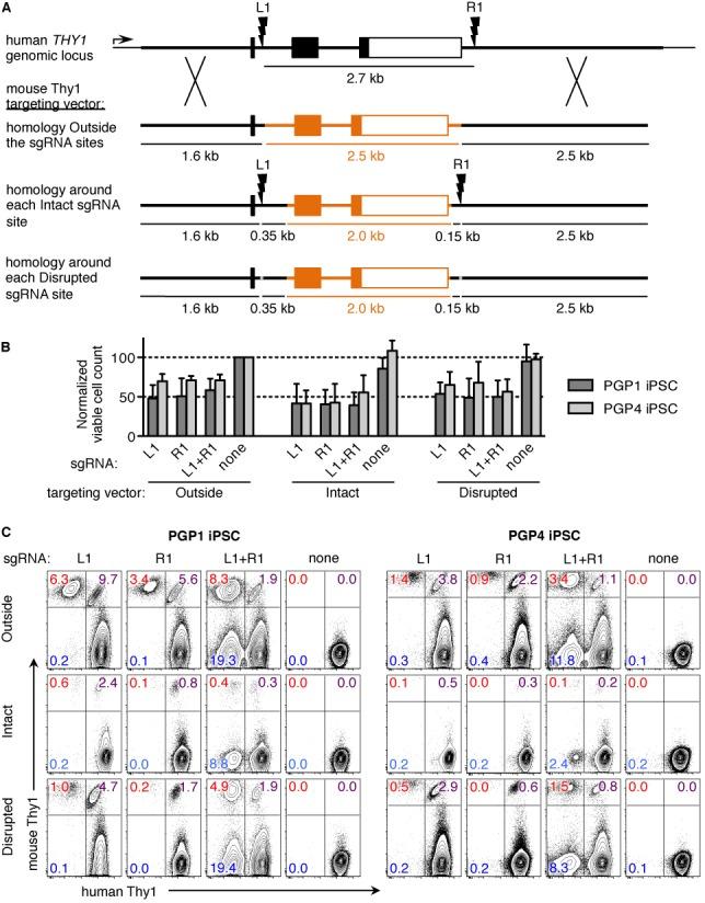 https://cdn.ncbi.nlm.nih.gov/pmc/blobs/4970/4330342/d923df6e8663/gku1246fig2.jpg