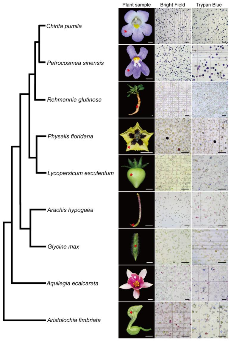 https://cdn.ncbi.nlm.nih.gov/pmc/blobs/4970/8998730/0f009ac5913a/ijms-23-03419-g006.jpg