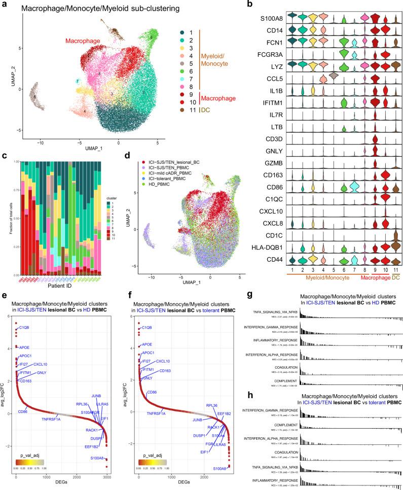 https://cdn.ncbi.nlm.nih.gov/pmc/blobs/4971/11685864/bbed3780e629/41467_2024_54180_Fig2_HTML.jpg