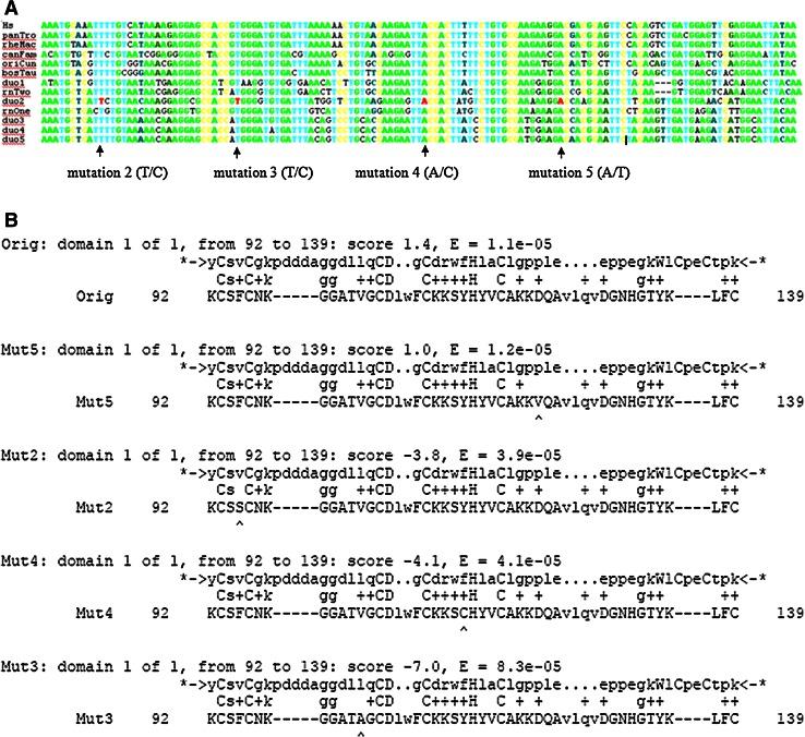 https://cdn.ncbi.nlm.nih.gov/pmc/blobs/4971/4239810/ba9c60283d2a/335_2014_9535_Fig3_HTML.jpg