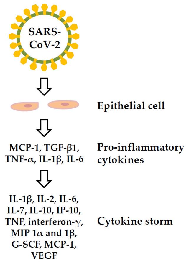 https://cdn.ncbi.nlm.nih.gov/pmc/blobs/4971/9228950/484a57546dd3/viruses-14-01188-g005.jpg
