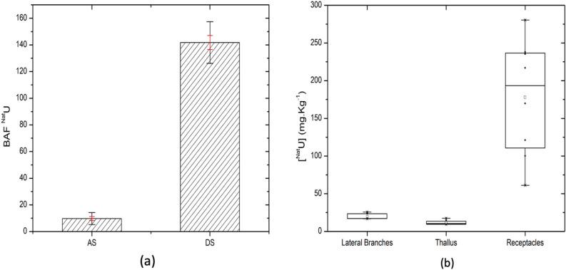 https://cdn.ncbi.nlm.nih.gov/pmc/blobs/4972/10781969/bc80459be128/41598_2023_49293_Fig3_HTML.jpg