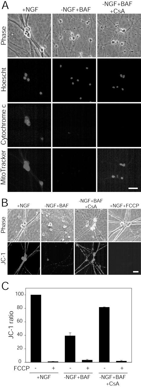 https://cdn.ncbi.nlm.nih.gov/pmc/blobs/4972/2173417/c793e3a2ce08/0112130f4.jpg
