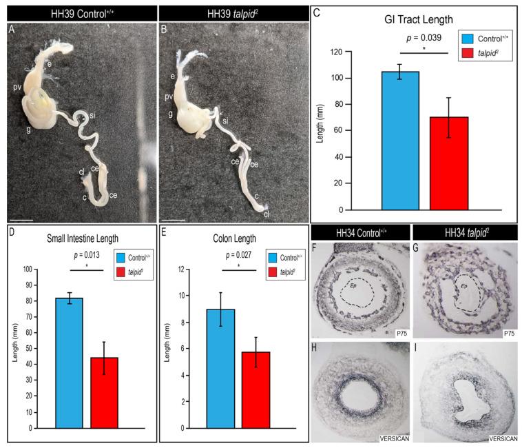 https://cdn.ncbi.nlm.nih.gov/pmc/blobs/4972/8103285/35737a5dd6ed/jdb-09-00012-g006.jpg
