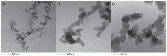 https://cdn.ncbi.nlm.nih.gov/pmc/blobs/4974/3173051/b5a25841e106/ijn-6-1889f1.jpg