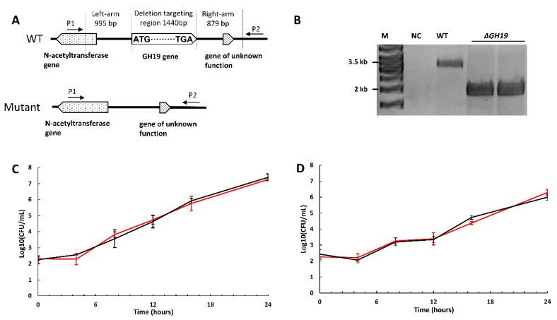 https://cdn.ncbi.nlm.nih.gov/pmc/blobs/4975/7917724/060edbc5e232/marinedrugs-19-00108-g002.jpg