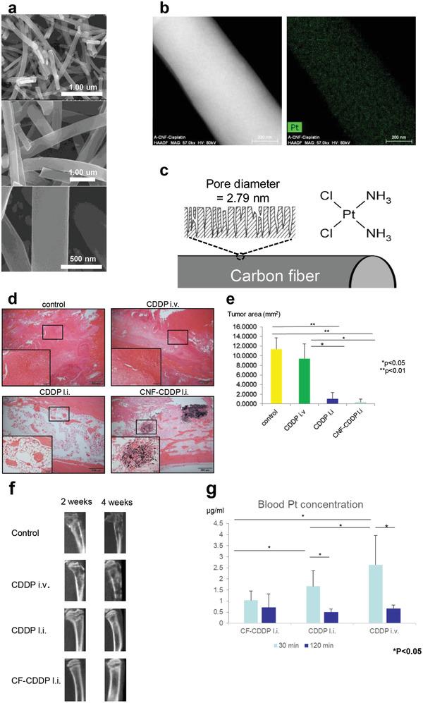 https://cdn.ncbi.nlm.nih.gov/pmc/blobs/4975/9404397/112ae2617ed9/ADVS-9-2201214-g007.jpg