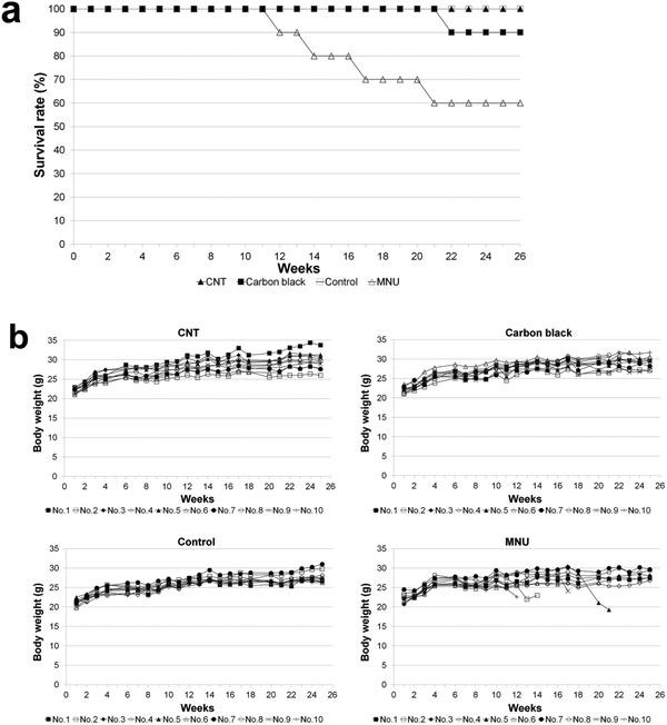 https://cdn.ncbi.nlm.nih.gov/pmc/blobs/4975/9404397/b1d7ca9a4874/ADVS-9-2201214-g010.jpg