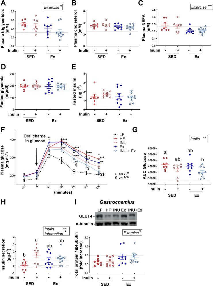 https://cdn.ncbi.nlm.nih.gov/pmc/blobs/4976/8966292/e456314dc139/12916_2022_2299_Fig5_HTML.jpg