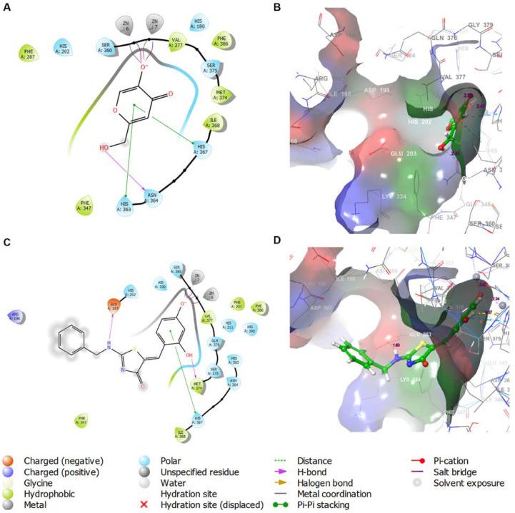 https://cdn.ncbi.nlm.nih.gov/pmc/blobs/4977/9865752/7c735a288f72/molecules-28-00848-g006.jpg