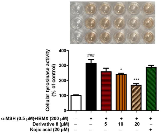 https://cdn.ncbi.nlm.nih.gov/pmc/blobs/4977/9865752/8d7d2c40e622/molecules-28-00848-g009.jpg