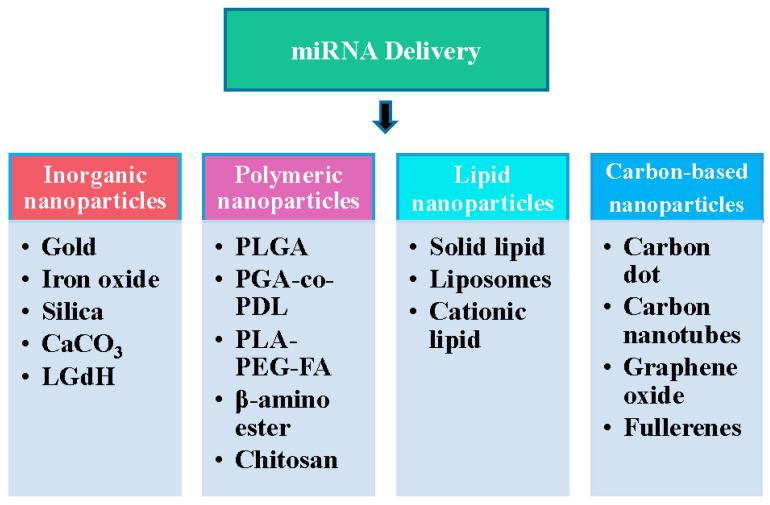 https://cdn.ncbi.nlm.nih.gov/pmc/blobs/4979/11311607/155ec234c96b/cells-13-01277-g002.jpg