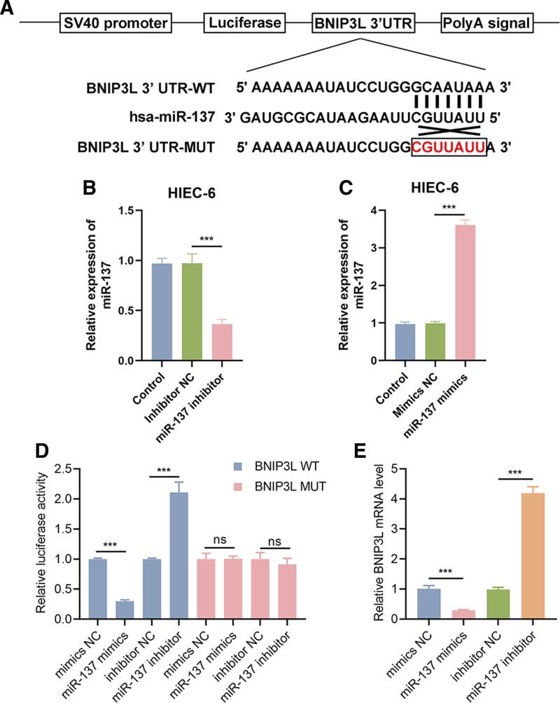 https://cdn.ncbi.nlm.nih.gov/pmc/blobs/4979/11630971/4597fc2e2b98/medi-103-e40568-g007.jpg