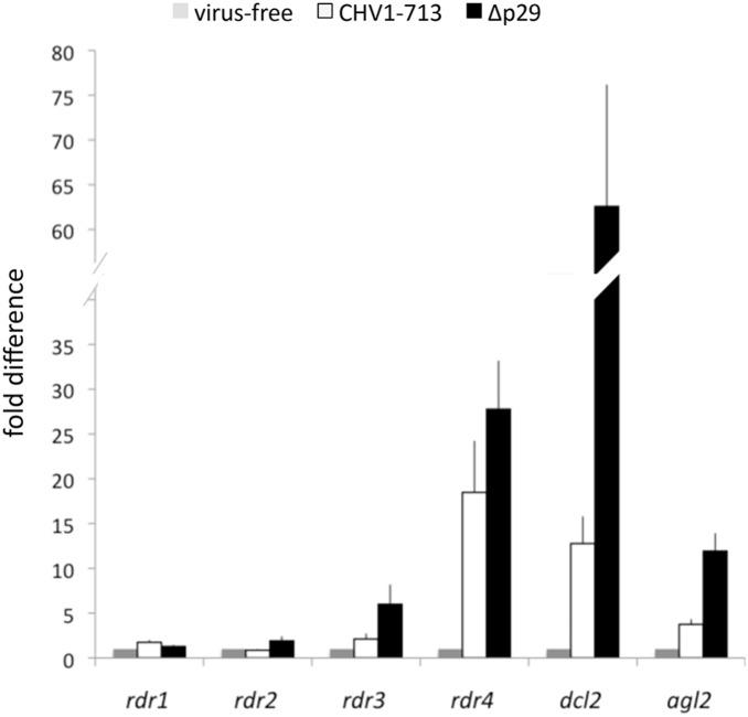 https://cdn.ncbi.nlm.nih.gov/pmc/blobs/4979/4182546/6391bc82bf02/pone.0108653.g004.jpg