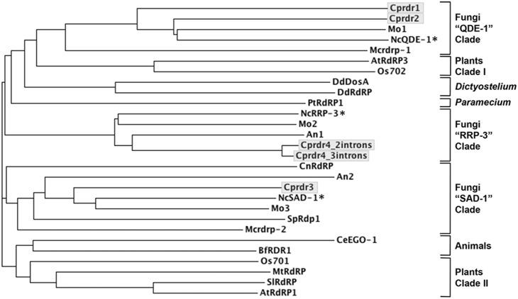 https://cdn.ncbi.nlm.nih.gov/pmc/blobs/4979/4182546/8d510130ab12/pone.0108653.g003.jpg