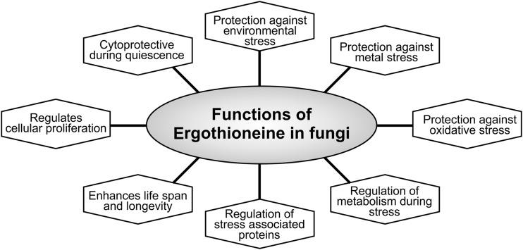 https://cdn.ncbi.nlm.nih.gov/pmc/blobs/4979/5790434/94680f5194ec/fig-8.jpg