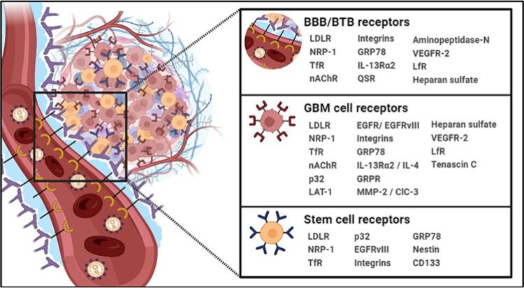 https://cdn.ncbi.nlm.nih.gov/pmc/blobs/497a/11223498/a9f6063ee9ad/nn4c01790_0001.jpg