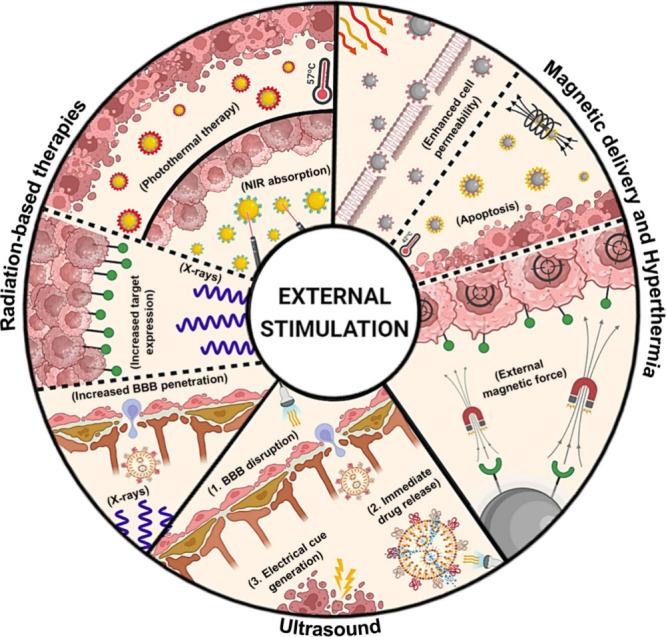 https://cdn.ncbi.nlm.nih.gov/pmc/blobs/497a/11223498/e4e126268b6a/nn4c01790_0002.jpg