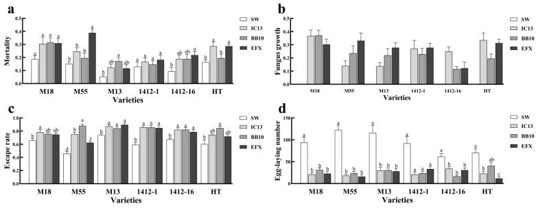 https://cdn.ncbi.nlm.nih.gov/pmc/blobs/497e/12292704/bc8103929850/biomolecules-15-01039-g005.jpg