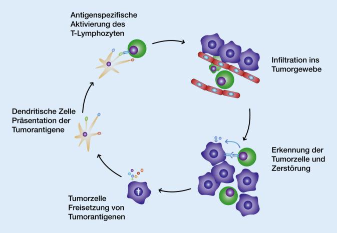https://cdn.ncbi.nlm.nih.gov/pmc/blobs/497e/7648013/28b21988a097/103_2020_3221_Fig1_HTML.jpg