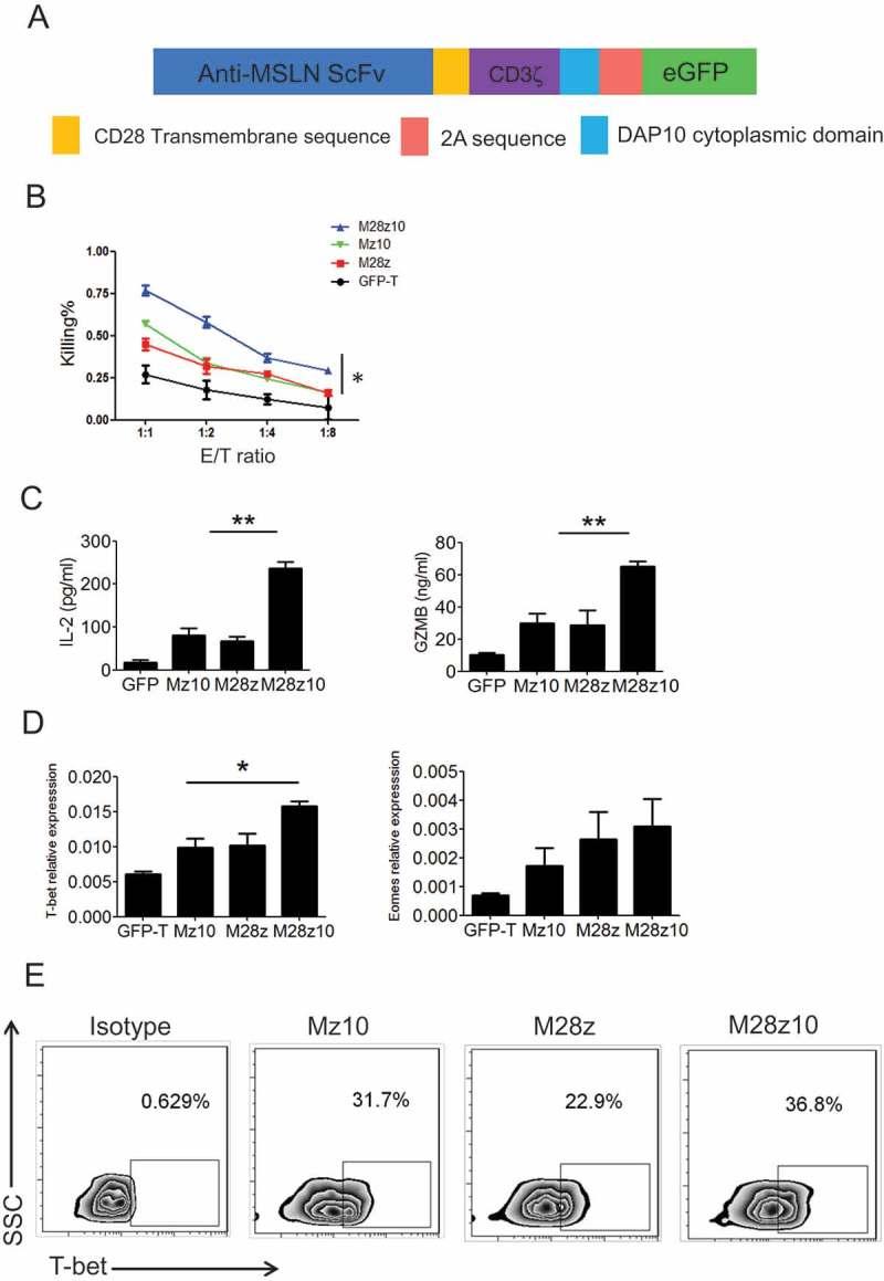 https://cdn.ncbi.nlm.nih.gov/pmc/blobs/4980/6287795/0a96034f26b7/koni-08-01-1509173-g006.jpg
