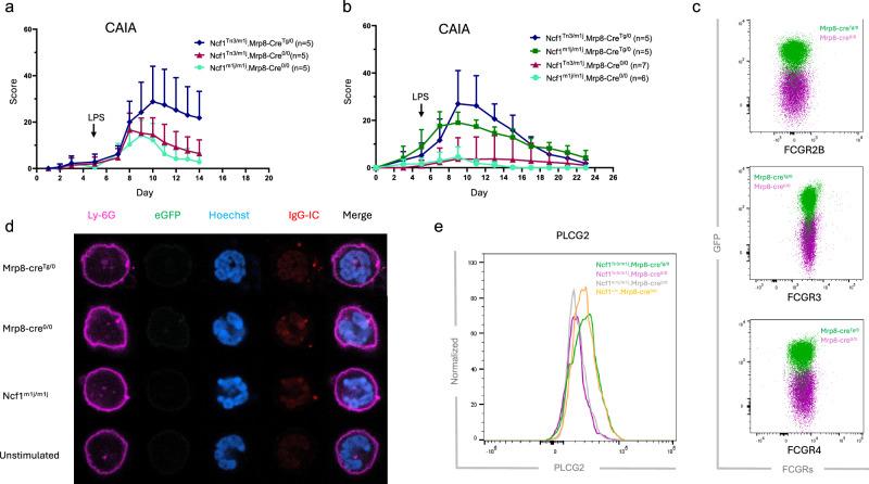 https://cdn.ncbi.nlm.nih.gov/pmc/blobs/4982/12006020/1c51e479d4ca/41435_2024_313_Fig1_HTML.jpg