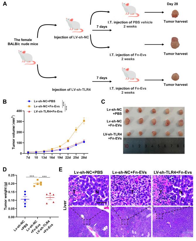 https://cdn.ncbi.nlm.nih.gov/pmc/blobs/4983/10207721/1e59367dc6e6/12885_2023_10844_Fig5_HTML.jpg