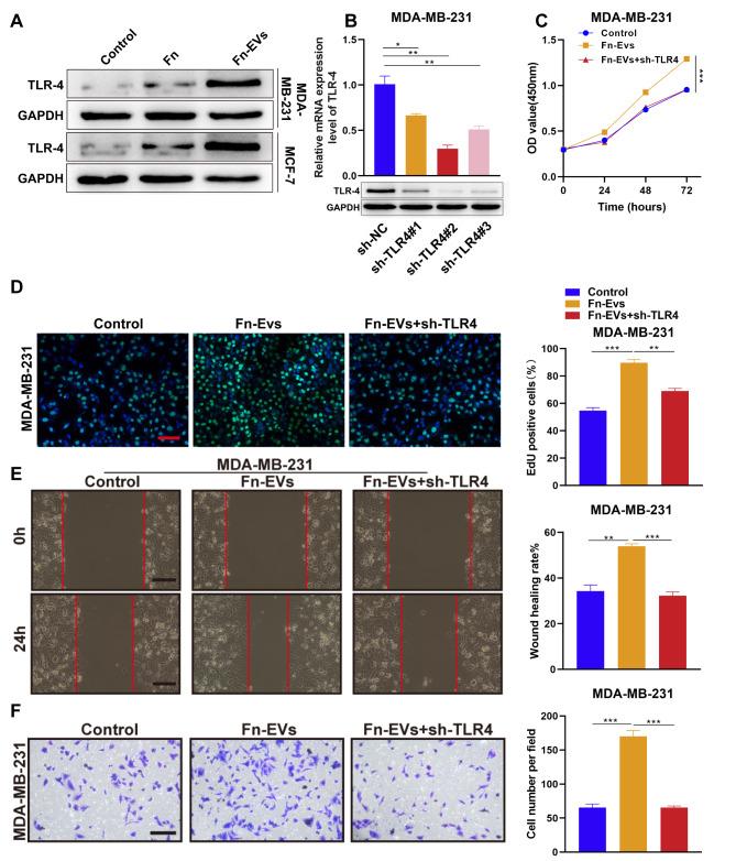 https://cdn.ncbi.nlm.nih.gov/pmc/blobs/4983/10207721/b771063926a3/12885_2023_10844_Fig4_HTML.jpg