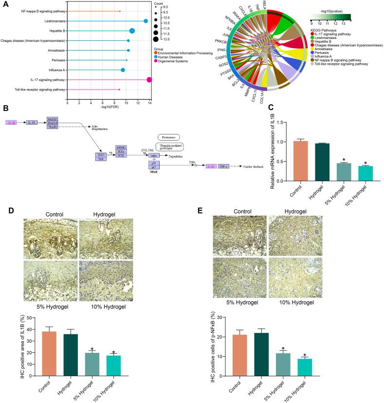 https://cdn.ncbi.nlm.nih.gov/pmc/blobs/4984/10926082/dddfc0d3b1e2/gr3.jpg