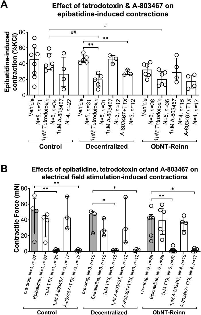 https://cdn.ncbi.nlm.nih.gov/pmc/blobs/4986/10642361/60472b40e4a7/ajpregu.00273.2022_f001.jpg