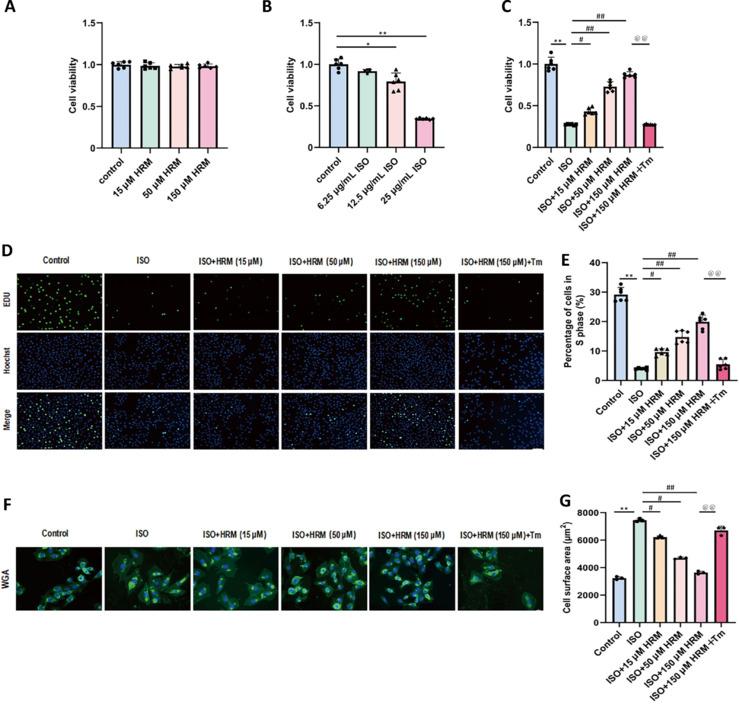 https://cdn.ncbi.nlm.nih.gov/pmc/blobs/4987/12124708/cbdc6b14c67d/MGR-15-459-g006.jpg