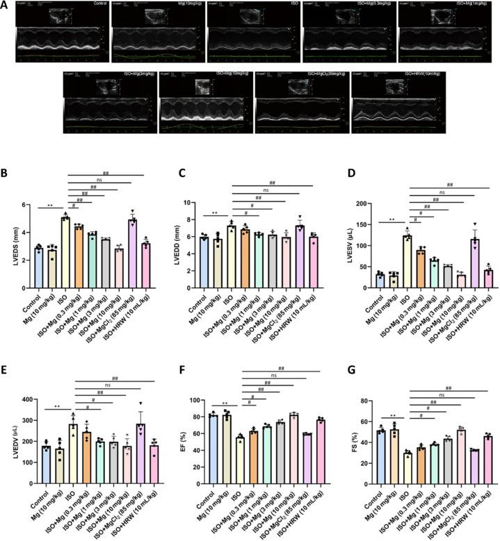 https://cdn.ncbi.nlm.nih.gov/pmc/blobs/4987/12124708/cfccfdfc4f22/MGR-15-459-g002.jpg